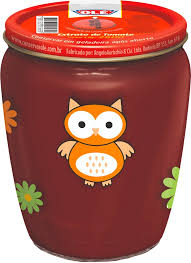 EXTRATO TOMATE COPO DECORADO 260G